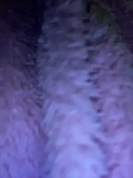 TrenaAnne online show from March 21, 4:28 am