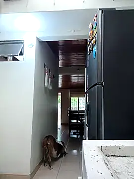 sebasxx97 online show from February 11, 11:59 am