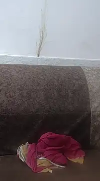 Snapshot of Aaradhya chatting on February 24, 3:33 am Aaradhya online show from February 24, 3:33 am