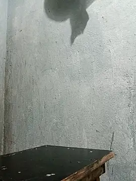 Sergipano fogozinho online show from December 5, 1:47 am