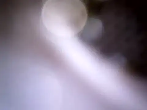 Snapshot of Beijing2000 chatting on January 14, 4:04 am Beijing2000 online show from January 14, 4:04 am