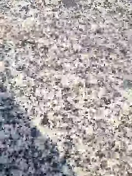 Snapshot of Beijing2000 chatting on January 30, 12:39 am Beijing2000 online show from January 30, 12:39 am