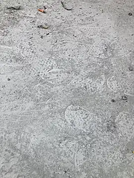 Snapshot of Beijing2000 chatting on October 11, 2:33 am Beijing2000 online show from October 11, 2:33 am