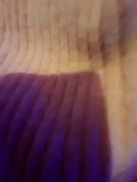 Snapshot of AsStraightAsARuler chatting on December 3, 5:04 am AsStraightAsARuler online show from December 3, 5:04 am