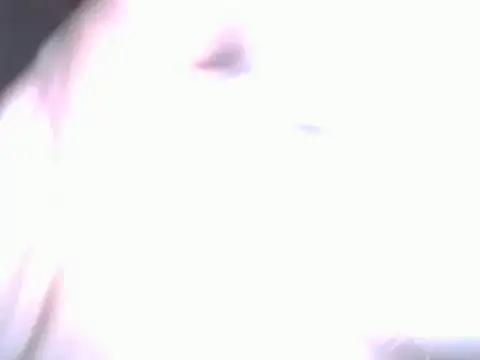 Snapshot of BobbyQ29 chatting on April 25, 12:24 am BobbyQ29 online show from April 25, 12:24 am