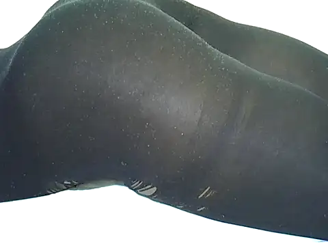 candililie online show from September 12, 6:35 am