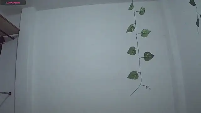 stephybrowm7 online show from October 28, 5:37 pm