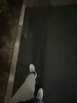 Snapshot of Tkcqcc chatting on February 15, 9:30 am Tkcqcc online show from February 15, 9:30 am