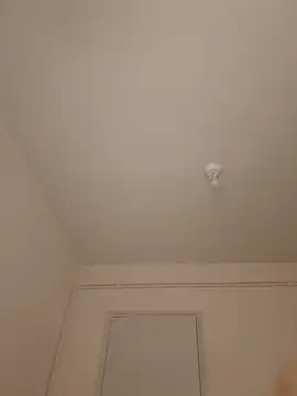 wedge75 online show from March 10, 5:51 pm