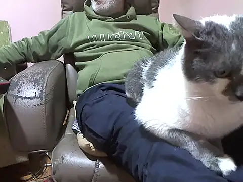 zormen355 online show from April 3, 5:22 pm