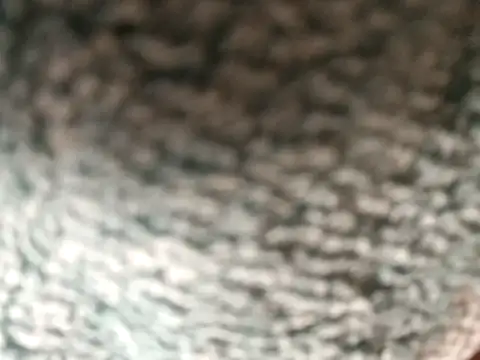 Amarok39 online show from December 16, 3:06 pm