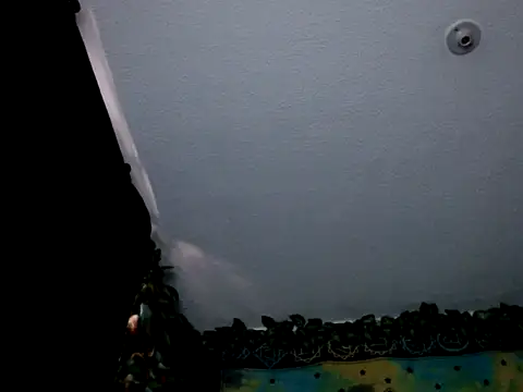 Snapshot of chanel_1041 chatting on January 3, 9:36 pm chanel 1041 online show from January 3, 9:36 pm