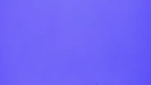 Snapshot of brenda_sofia2 chatting on November 21, 3:11 pm brenda sofia2 online show from November 21, 3:11 pm