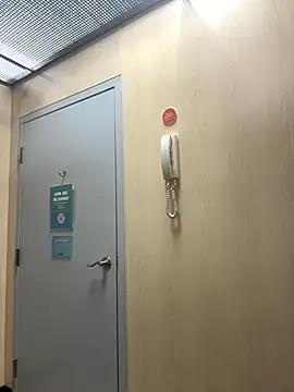 vixendoll87 online show from October 29, 11:39 pm