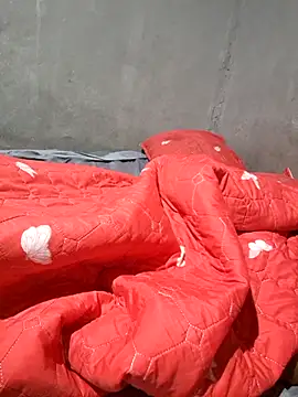 Snapshot of Petrossa chatting on December 4, 3:27 am Petrossa online show from December 4, 3:27 am