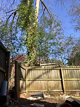 Snapshot of trash4cash chatting on January 28, 8:04 pm trash4cash online show from January 28, 8:04 pm