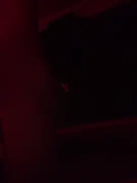 Snapshot of trash4cash chatting on February 9, 11:25 pm trash4cash online show from February 9, 11:25 pm