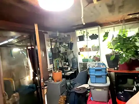 Snapshot of trash4cash chatting on January 13, 10:04 pm trash4cash online show from January 13, 10:04 pm