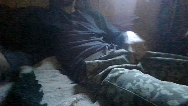 ySqmbVanbe online show from March 3, 3:51 pm