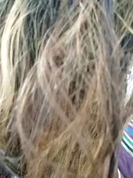 Snapshot of littlequeen77 chatting on March 11, 8:31 pm littlequeen77 online show from March 11, 8:31 pm