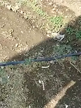 DADDY69SS online show from February 8, 8:51 am