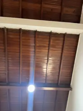 emiss  online show from February 5, 3:05 pm