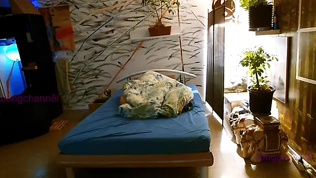 BongChannel online show from January 2, 11:52 am