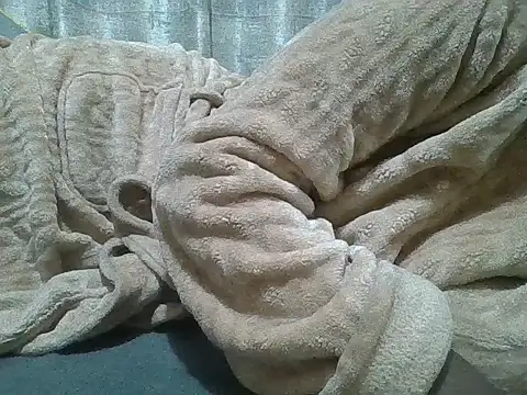 Fine assie online show from April 10, 11:20 pm