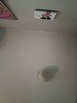 Your Paris online show from February 9, 3:23 pm