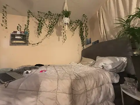 Snapshot of magicalc00ch chatting on November 2, 7:00 am magicalc00ch online show from November 2, 7:00 am