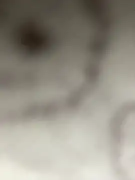 Leyna liu online show from January 11, 3:13 am