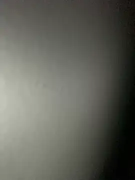 Leyna liu online show from February 4, 8:46 am