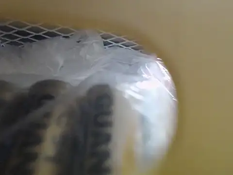 lovense test04 online show from October 16, 3:51 am