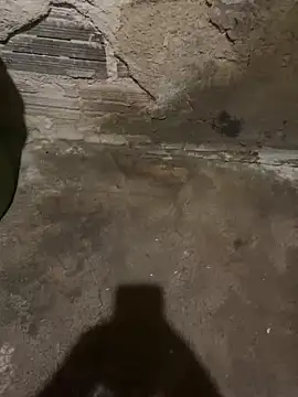 s1437jdjjddjjshbx online show from February 24, 8:49 am