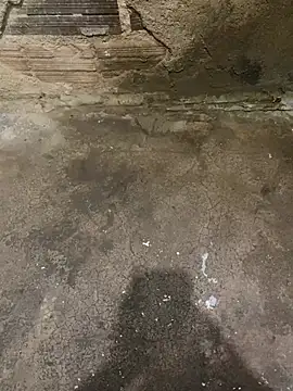 s1437jdjjddjjshbx online show from March 8, 2:40 pm