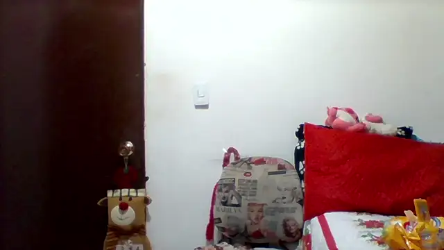 Snapshot of Alisson_brand chatting on December 27, 11:50 am Alisson brand online show from December 27, 11:50 am