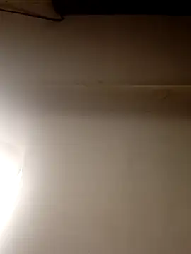 AmazonianMistress online show from March 5, 9:33 pm