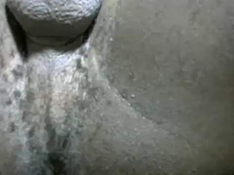 Whitelover online show from February 24, 12:30 am