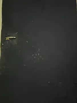 Black-mamba-madingo online show from October 9, 12:25 pm