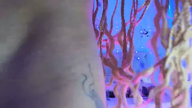 Snapshot of gabbiefoxthx chatting on February 1, 11:58 pm gabbiefoxthx online show from February 1, 11:58 pm