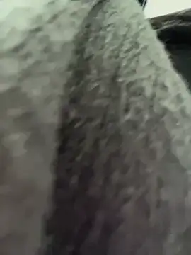 RinaCat online show from January 6, 5:30 am