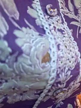 Snapshot of Priya_Bong chatting on December 3, 9:51 am Priya Bong online show from December 3, 9:51 am