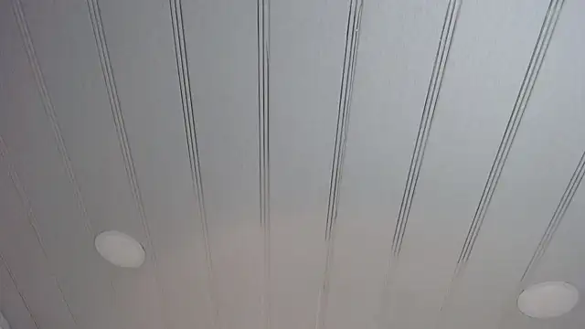 candy lux  online show from February 24, 2:37 pm