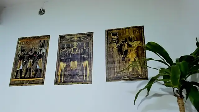 daniellapornx1 online show from January 10, 8:43 pm