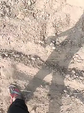 lovesuna online show from November 6, 4:13 am