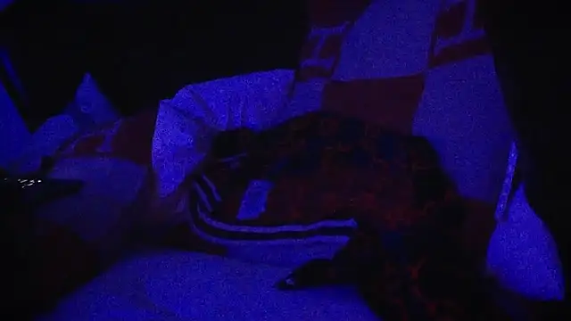 Snapshot of YouLikeBigDick9 chatting on March 7, 7:41 am YouLikeBigDick9 online show from March 7, 7:41 am