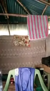 Brian johns online show from December 31, 12:04 pm