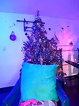 pleasure and fantasy online show from December 31, 2:29 am