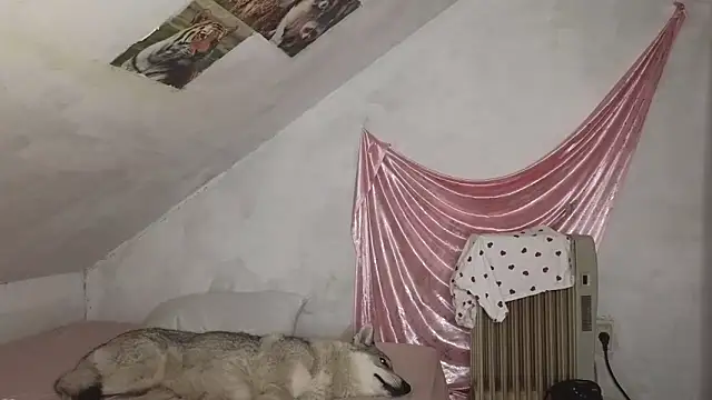 MAMA69LAMA online show from March 9, 7:40 pm