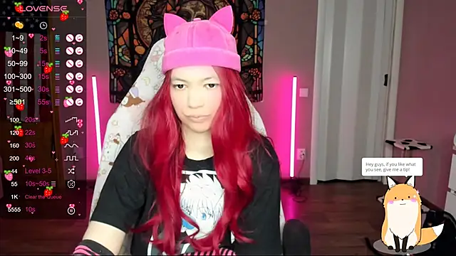 Project hisoka online show from January 10, 9:34 am